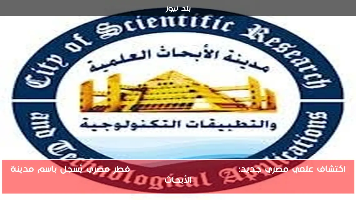 اكتشاف علمي مصري جديد: Trichoderma egyptiacum فطر مصري يُسجل باسم مدينة الأبحاث