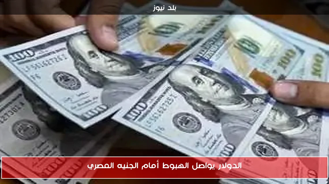 الدولار يواصل الهبوط أمام الجنيه المصري