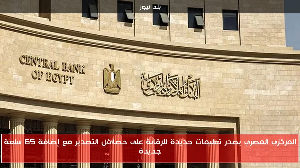 المركزي المصري يصدر تعليمات جديدة للرقابة على حصائل التصدير مع إضافة 65 سلعة جديدة