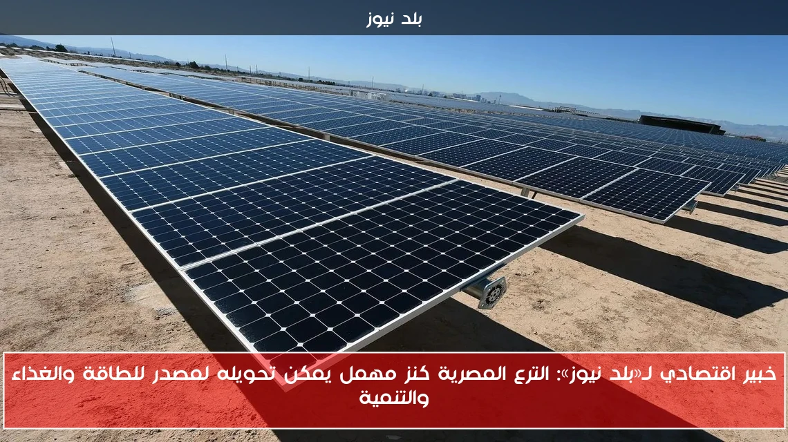 خبير اقتصادي لـ«بلد نيوز»: الترع المصرية كنز مهمل يمكن تحويله لمصدر للطاقة والغذاء والتنمية