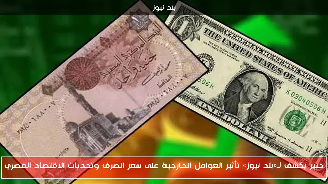 خبير يكشف لـ«بلد نيوز» تأثير العوامل الخارجية على سعر الصرف وتحديات الاقتصاد المصري