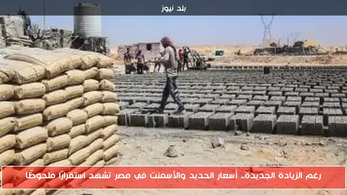 رغم الزيادة الجديدة.. أسعار الحديد والأسمنت في مصر تشهد استقرارًا ملحوظًا