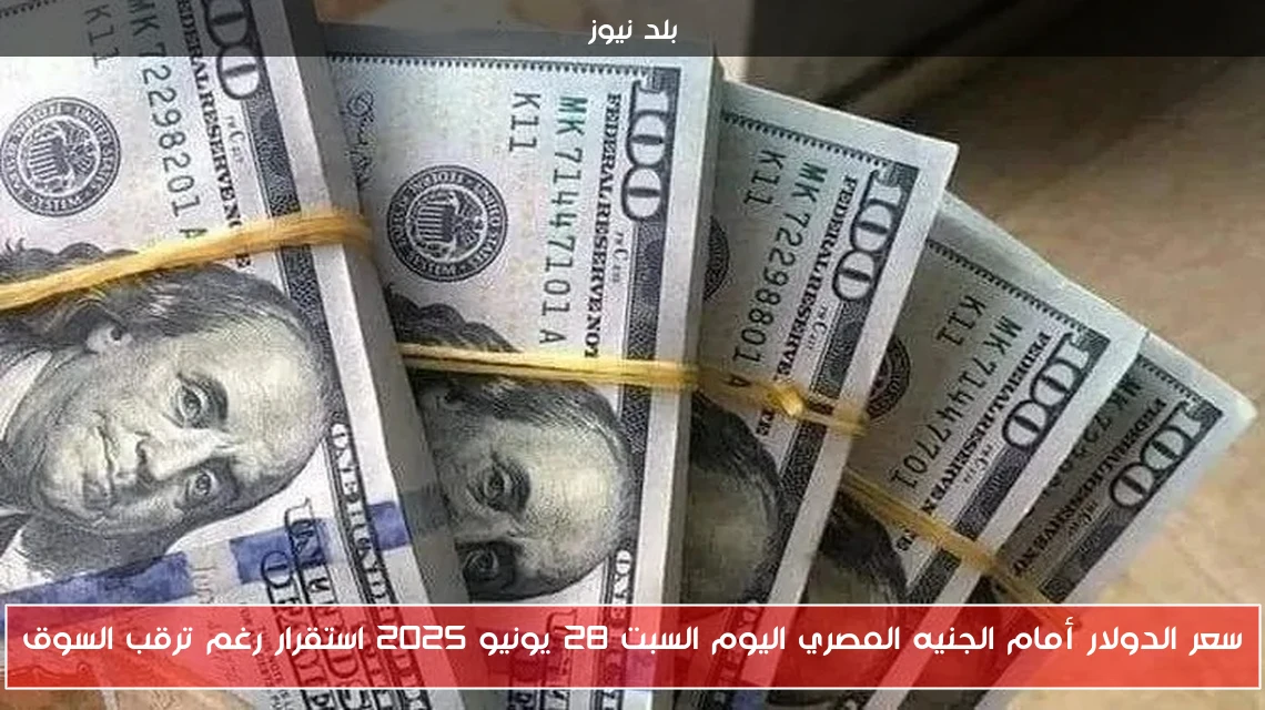 سعر الدولار أمام الجنيه المصري اليوم السبت 28 يونيو 2025 استقرار رغم ترقب السوق
