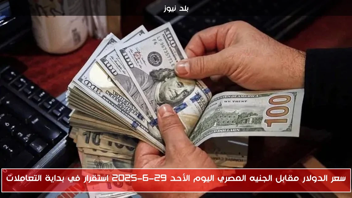 سعر الدولار مقابل الجنيه المصري اليوم الأحد 29-6-2025 استقرار في بداية التعاملات