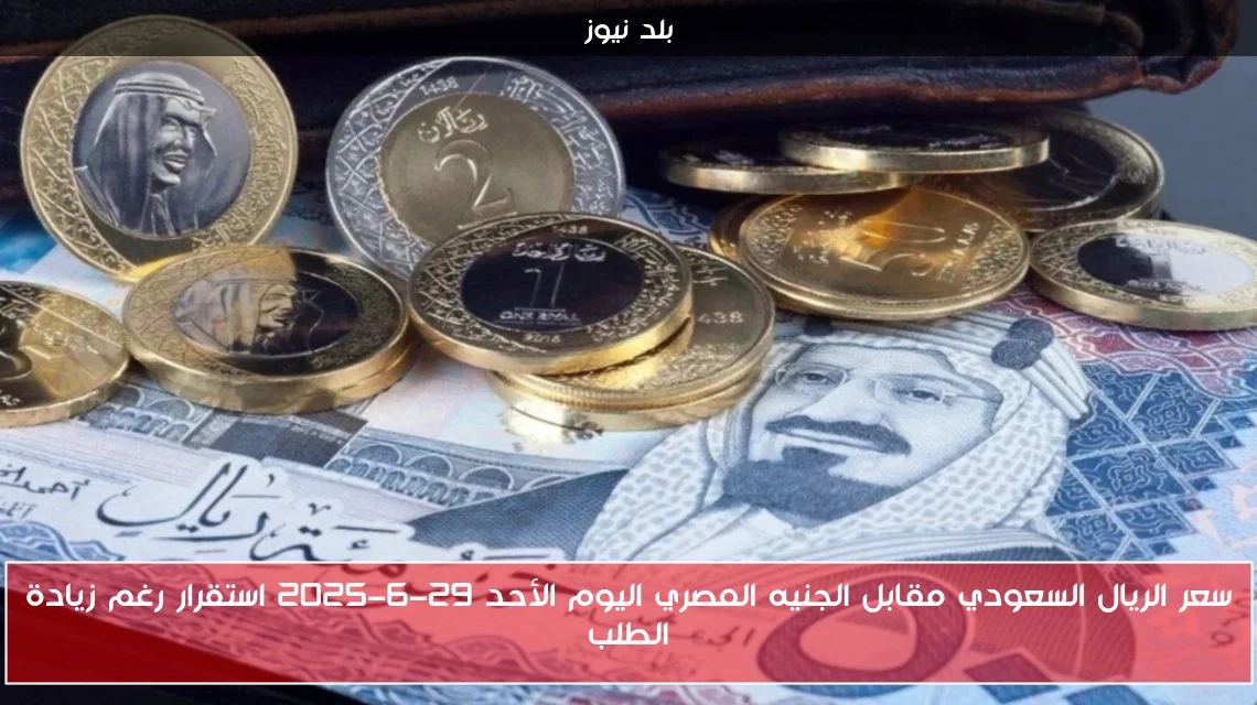 سعر الريال السعودي مقابل الجنيه المصري اليوم الأحد 29-6-2025 استقرار رغم زيادة الطلب