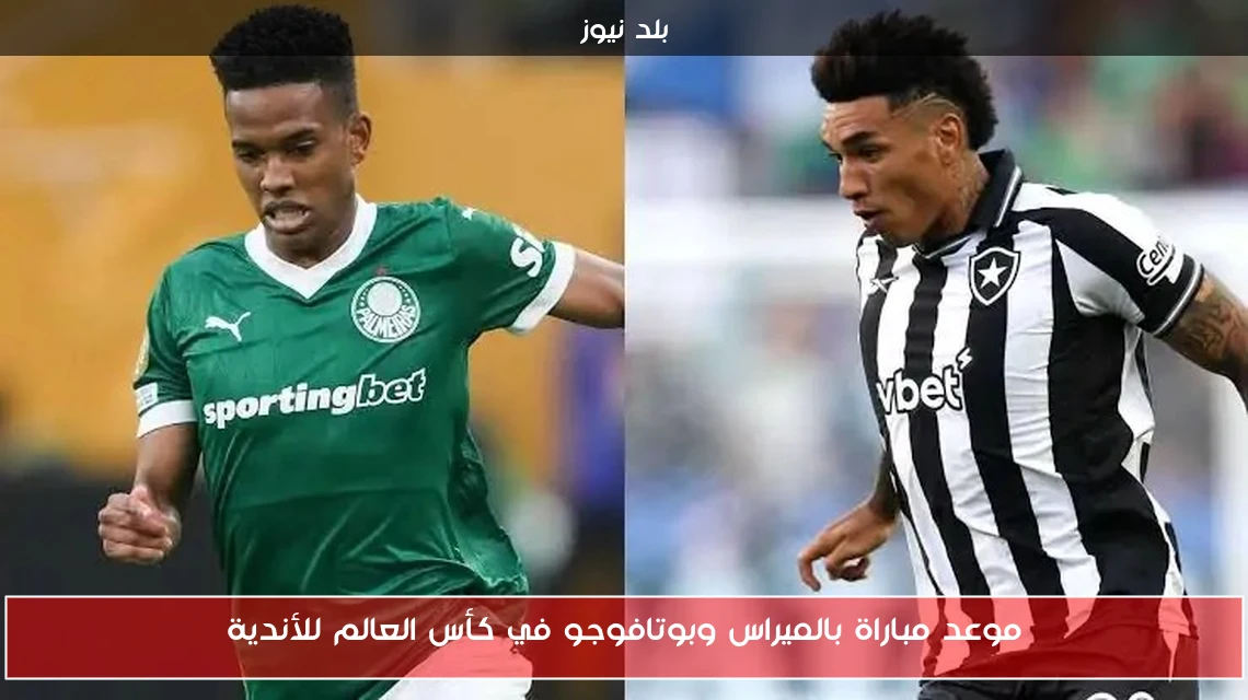 موعد مباراة بالميراس وبوتافوجو في كأس العالم للأندية