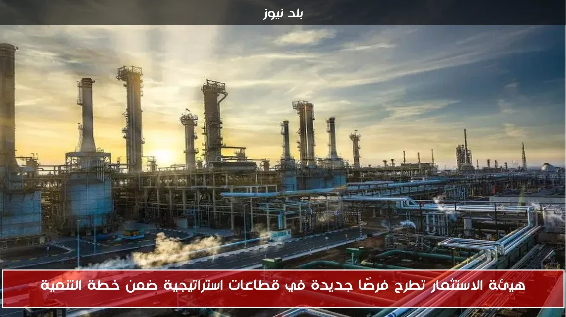 هيئة الاستثمار تطرح فرصًا جديدة في قطاعات استراتيجية ضمن خطة التنمية