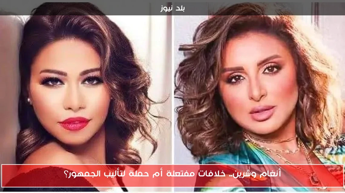 أنغام وشرين.. خلافات مفتعلة أم حملة لتأليب الجمهور؟