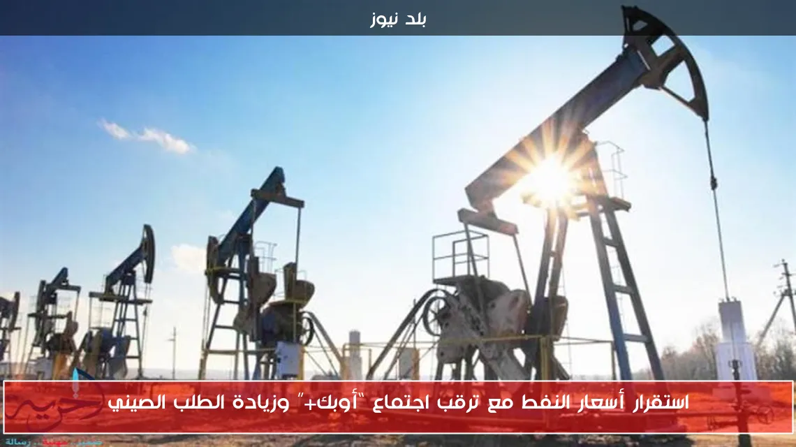 استقرار أسعار النفط مع ترقب اجتماع “أوبك+” وزيادة الطلب الصيني