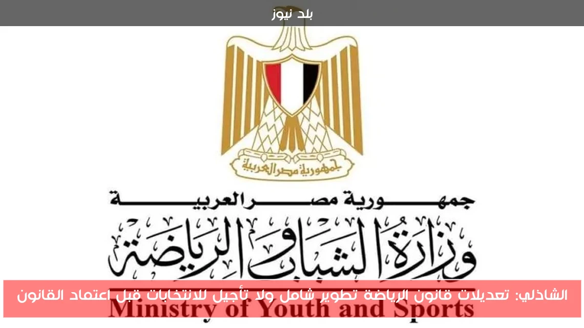 الشاذلي: تعديلات قانون الرياضة تطوير شامل ولا تأجيل للانتخابات قبل اعتماد القانون