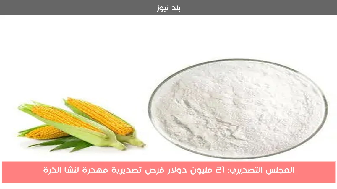 المجلس التصديري: 21 مليون دولار فرص تصديرية مهدرة لنشا الذرة
