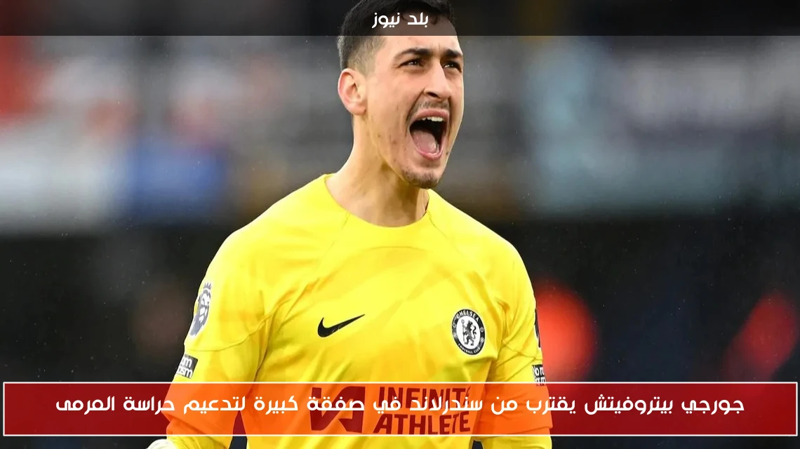 جورجي بيتروفيتش يقترب من سندرلاند في صفقة كبيرة لتدعيم حراسة المرمى