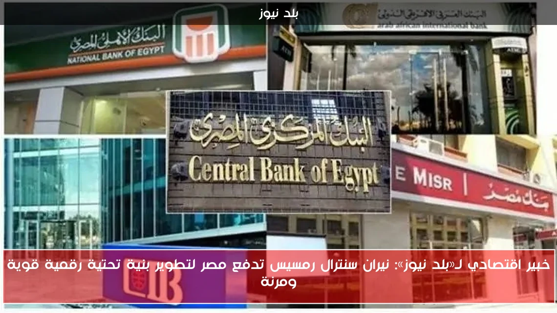 خبير اقتصادي لـ«بلد نيوز»: نيران سنترال رمسيس تدفع مصر لتطوير بنية تحتية رقمية قوية ومرنة