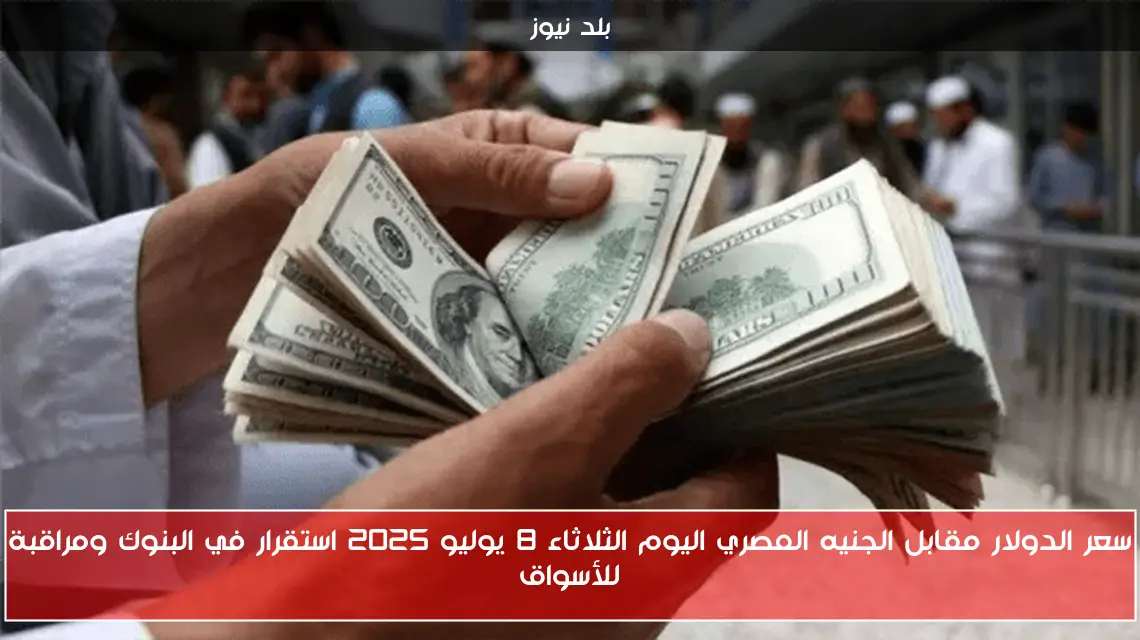 سعر الدولار مقابل الجنيه المصري اليوم الثلاثاء 8 يوليو 2025 استقرار في البنوك ومراقبة للأسواق