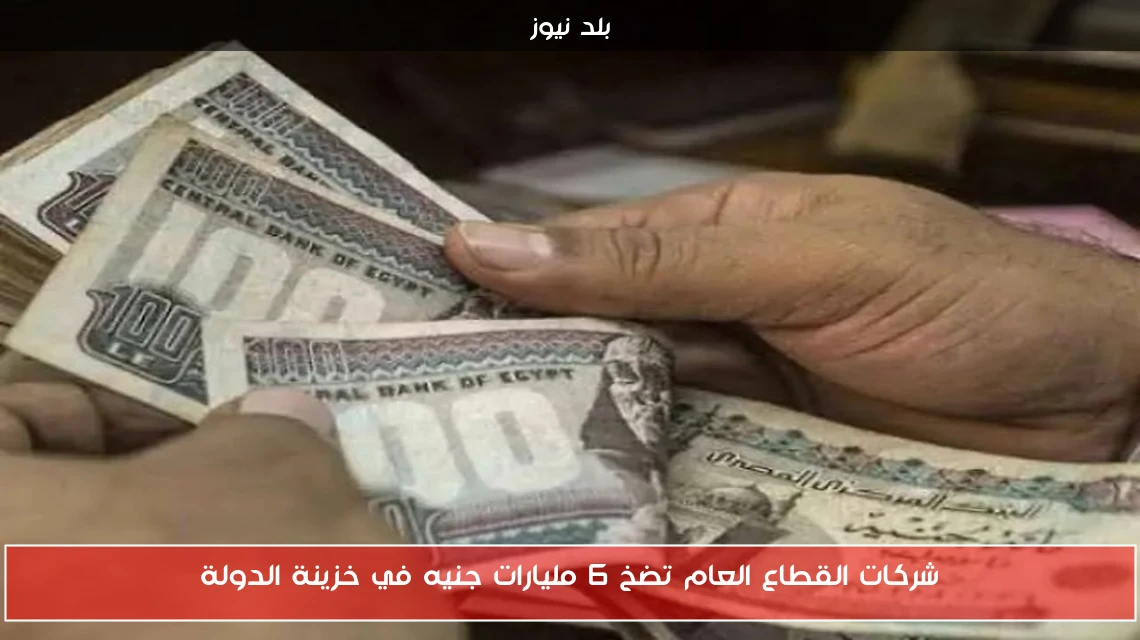شركات القطاع العام تضخ 6 مليارات جنيه في خزينة الدولة