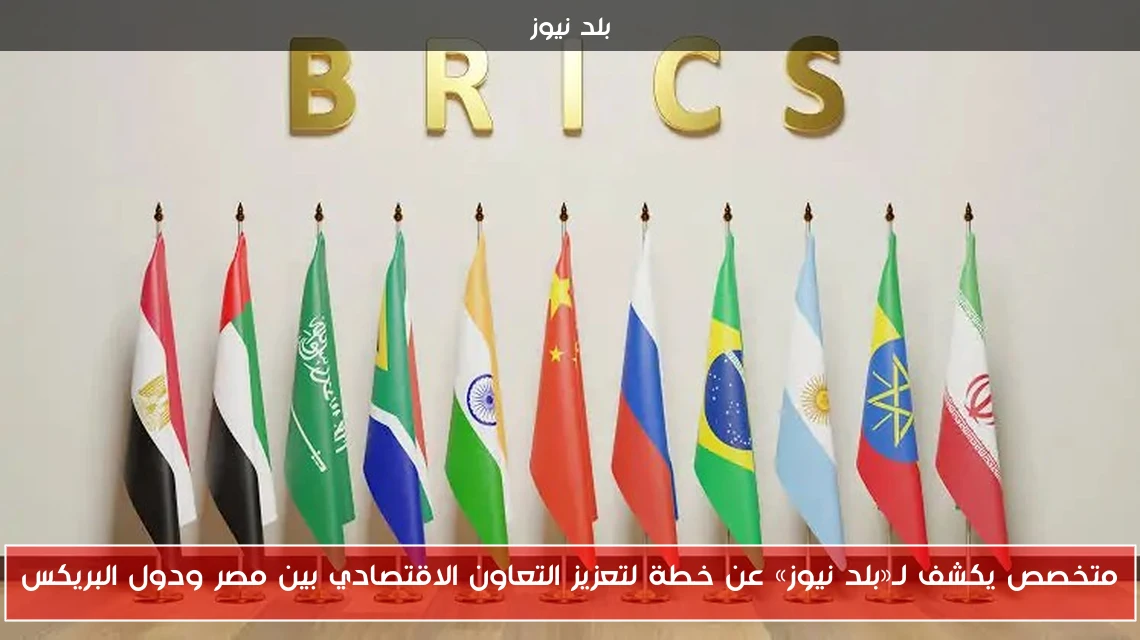متخصص يكشف لـ«بلد نيوز» عن خطة لتعزيز التعاون الاقتصادي بين مصر ودول البريكس