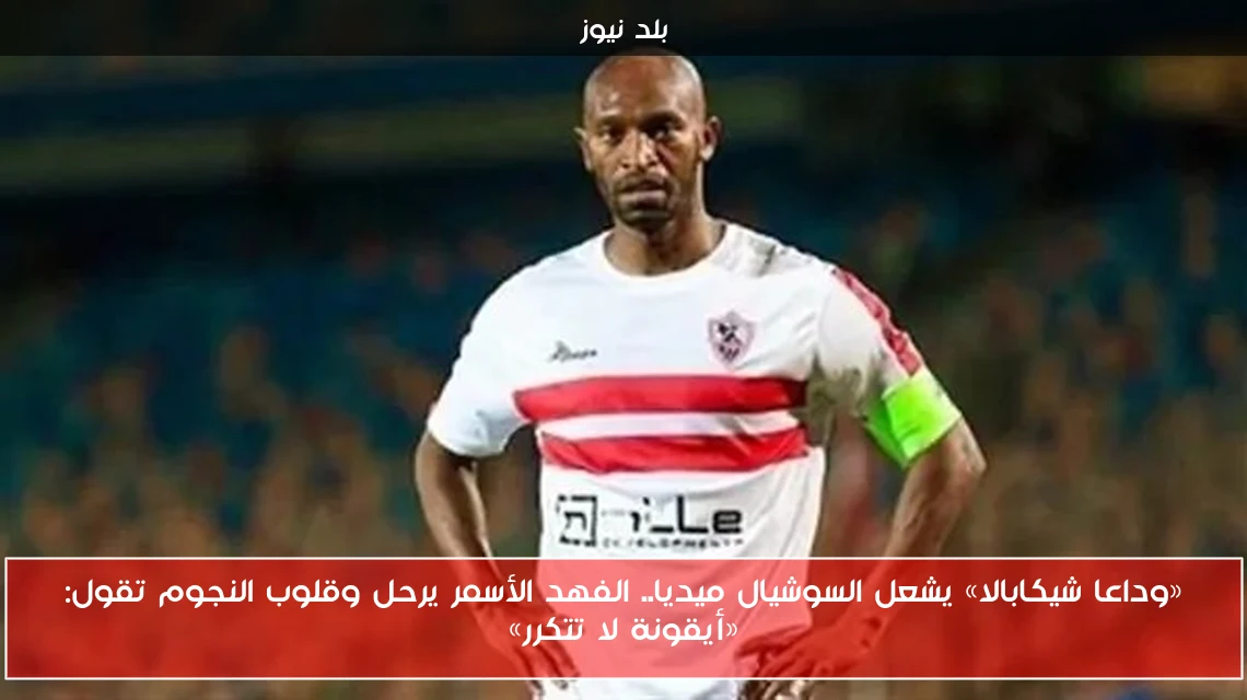 «وداعا شيكابالا» يشعل السوشيال ميديا.. الفهد الأسمر يرحل وقلوب النجوم تقول: «أيقونة لا تتكرر»