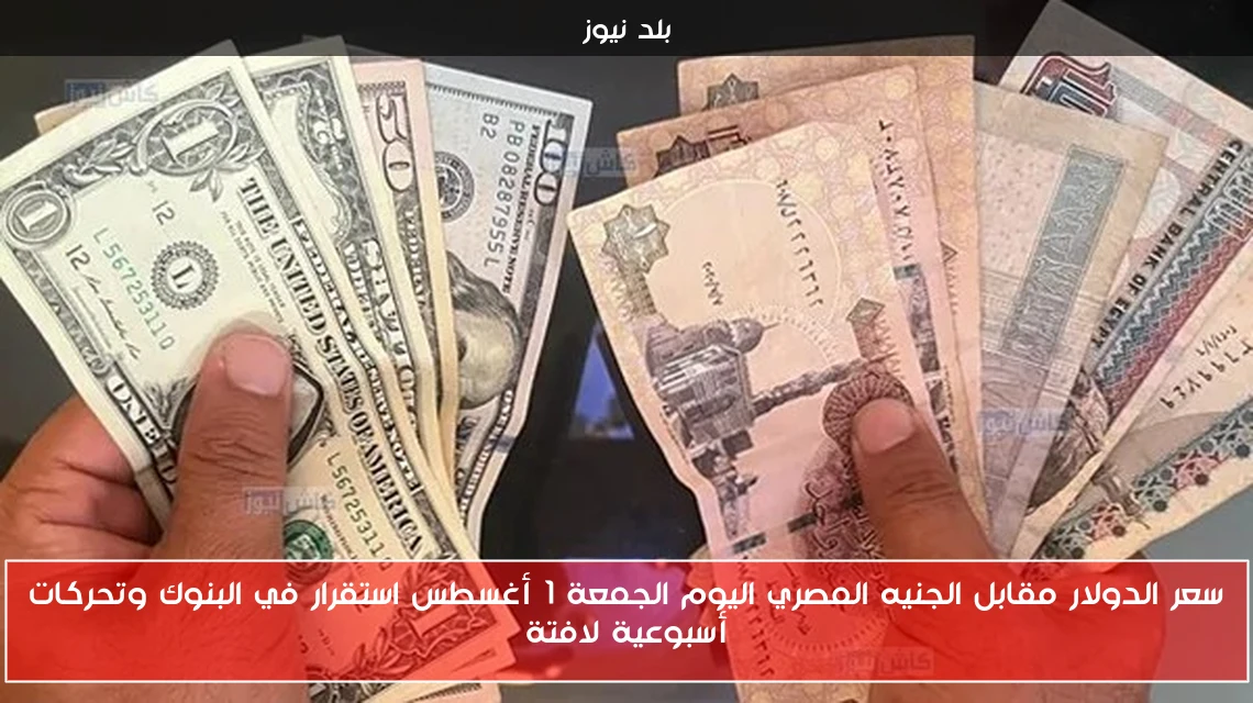 سعر الدولار مقابل الجنيه المصري اليوم الجمعة 1 أغسطس استقرار في البنوك وتحركات أسبوعية لافتة
